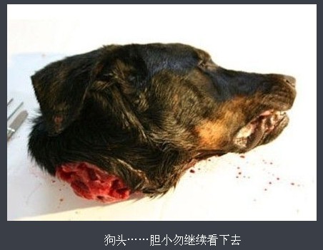 恐怖变态！老外整容成狗头 “人狗”整形全过程